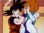 Dragonball Z (21)